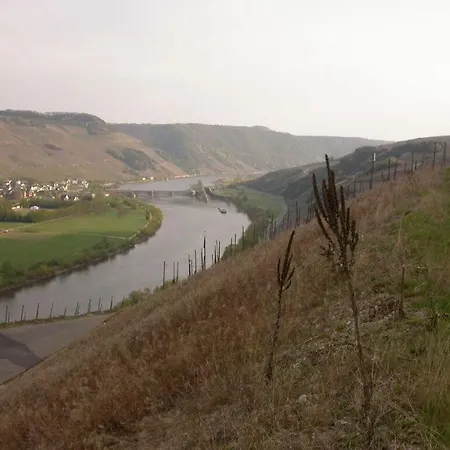 Goose In The Monument