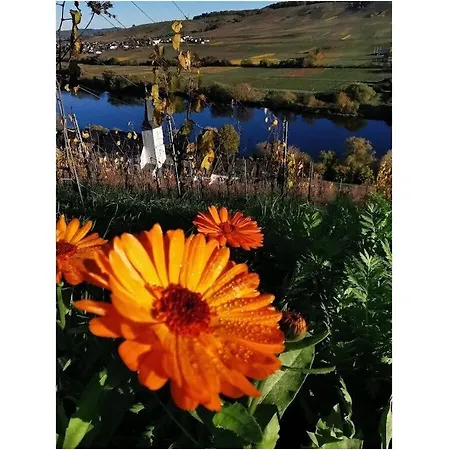 Goose In The Monument Apartmán Maring-Noviand