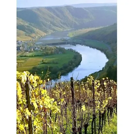 Apartmán Goose In The Monument *