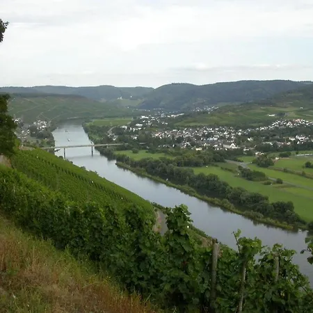 Goose In The Monument Maring-Noviand