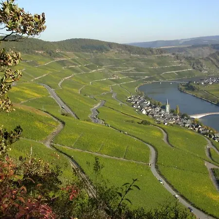 Apartmán Goose In The Monument *