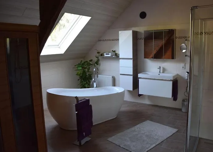 Goose In The Monument Maring-Noviand