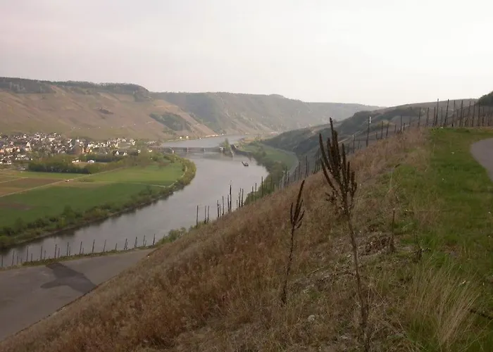 Goose In The Monument