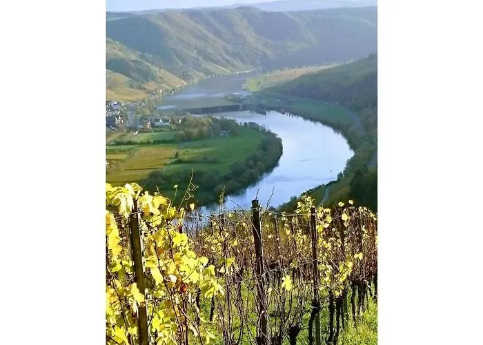 Apartment Goose In The Monument *