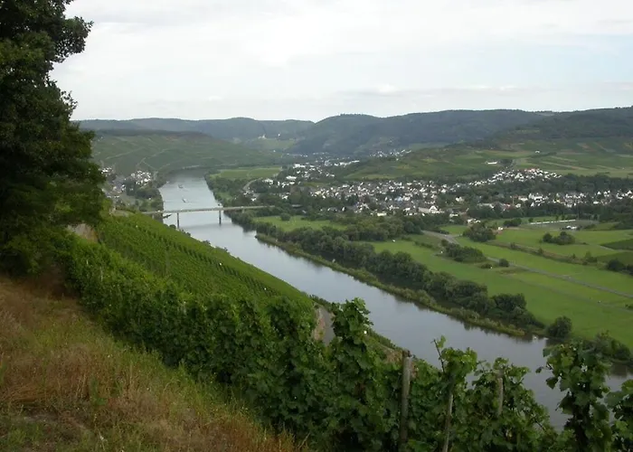 Goose In The Monument Maring-Noviand